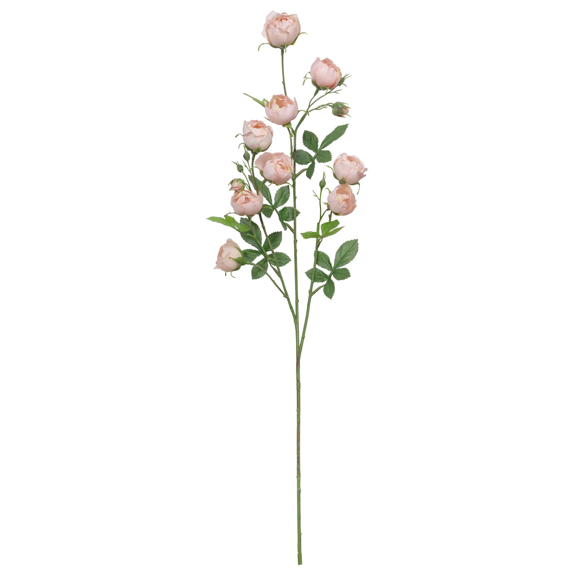 31" Cabbage Rose Spray by Ashland